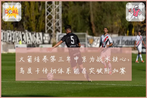 火箭培养第三年申京为战术核心,乌度卡传切体系能否突破附加赛
