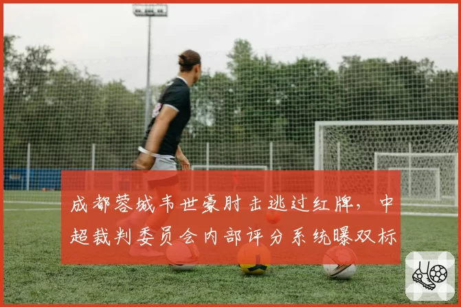 成都蓉城韦世豪肘击逃过红牌,中超裁判委员会内部评分系统曝双标