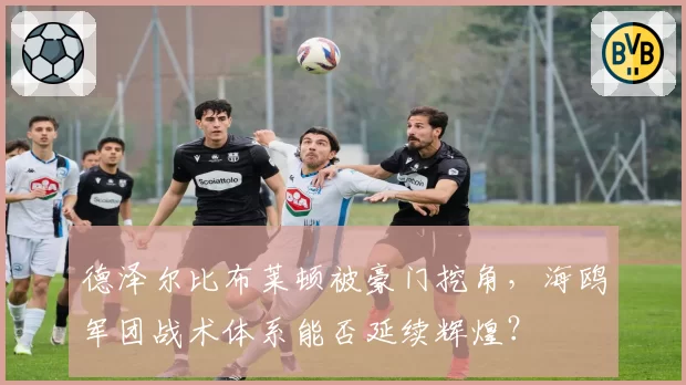 德泽尔比布莱顿被豪门挖角，海鸥军团战术体系能否延续辉煌？