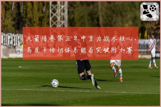 火箭培养第三年申京为战术核心，乌度卡传切体系能否突破附加赛