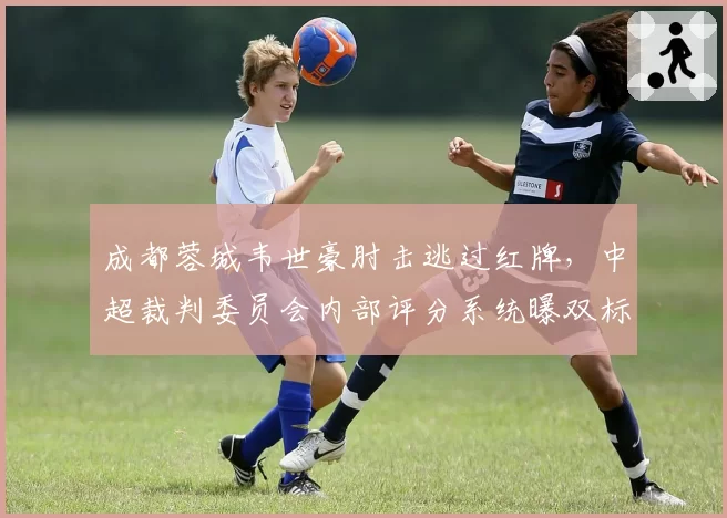 成都蓉城韦世豪肘击逃过红牌,中超裁判委员会内部评分系统曝双标
